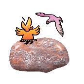 看图猜成语第250关石头上两只鸟的答案是什么？