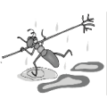 一只蚂蚁拿着树枝在雨中跑是什么成语
