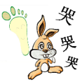 一只兔子 一个脚印 三个哭字是什么成语