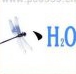 疯狂猜成语蜻蜓H2O答案是什么成语？