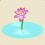 清水里面一朵莲花打一成语是什么